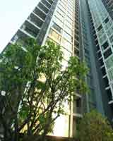                 สุขุมวิท ควอทโทร บาย แสนสิริ คอนโดมิเนียม  Quattro by Sansiri condominium