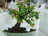 ราคา เฟอร์นิเจอร์ห้องรับแขก ต้นส้มประดิษฐ์ ดินญี่ปุ่น ร้านดินมงคล90 ดอกไม้ดิน-ปั้นจิ๋ว